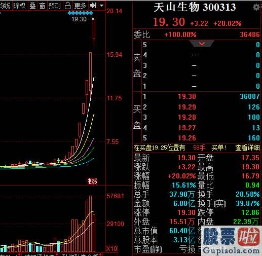 明日大盘预测最新信息：创业板飞起！成交额创新高！低价股再掀涨停潮 股民:照旧看好