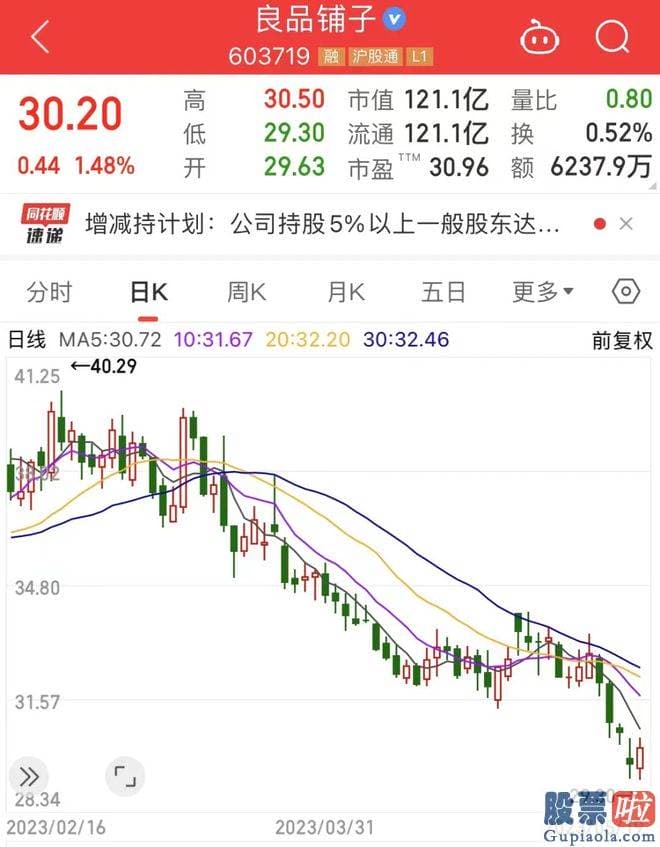 今日大盘简析与持仓分析_寓泰控股持有鸿博股份7126.38万股