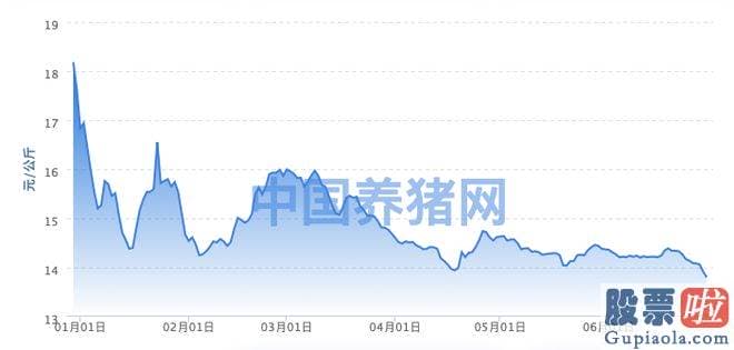 大盘后市预测欧文鞋_根据农业农村部以及國家统计局数据