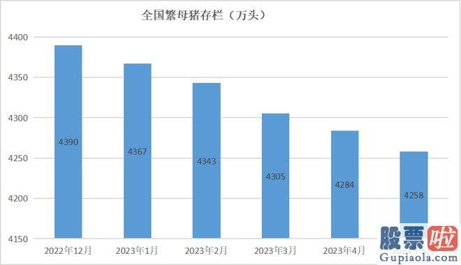 大盘后市预测欧文鞋_根据农业农村部以及國家统计局数据