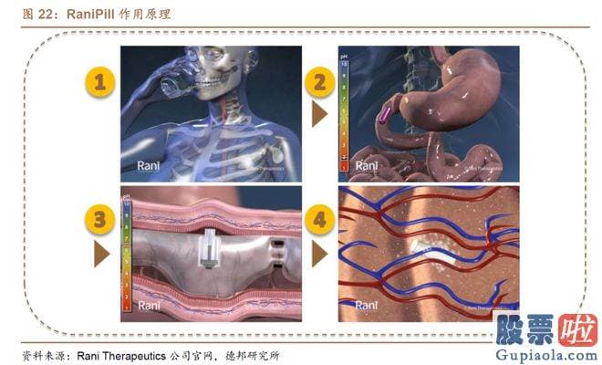 年大盘走势分析-还是历年大牛股的聚合营