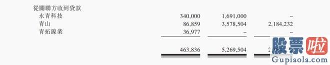 股票大盘走势分析书籍-青山集团控股51%的子公司永青科技合计操纵瑞浦兰钧已发行股份62.6%的表决权股份