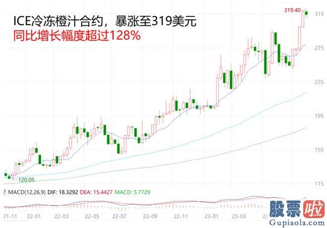 怎么预测看大盘涨跌_橙树长在热带和亚热带