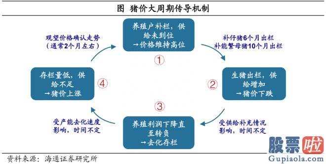 股市大盘行情预测吧_牧原股份的业绩可以说是深受猪肉价格行情的影响