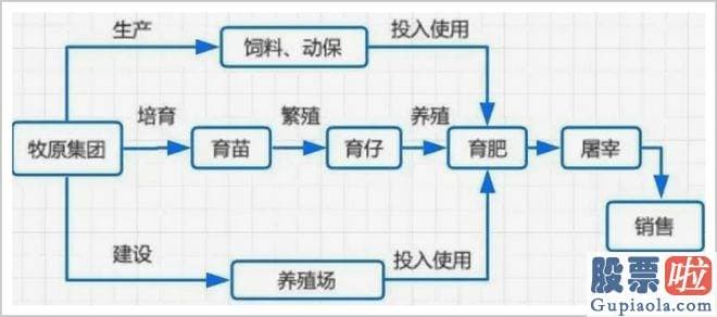 股票大盘分析逻辑-发起互不挖人公约的带头大哥