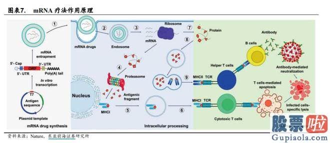 股市大盘明天走势预测_随着分子生物学的进步