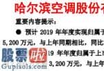 今日股市要闻_股票啦：哈空调(600202)2019年度预计实现净利4800万元到5200万元