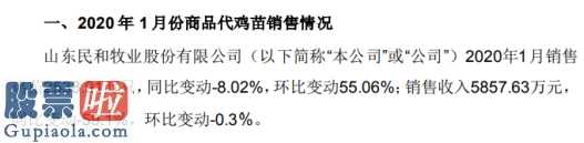 股票公司资讯_民和股份(002234)2020年1月销售鸡苗2539万只销售收入5858万元