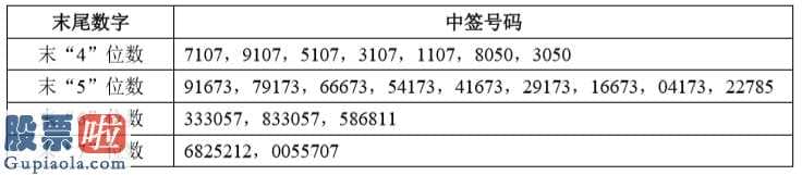 上市公司资讯哪个网_华润微IPO：网上中签号码21万个