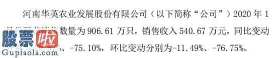 今日股市新闻有哪些_华英农业(002321)2020年1月份鸭苗销售数量为907万只同比增长30%