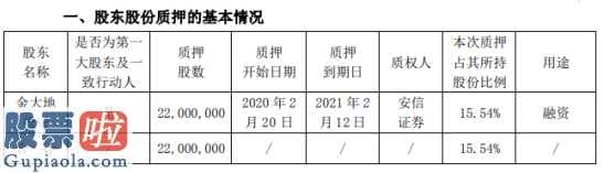 股票上市公司新闻_溢多利(300381)股东金大地投资质押2200万股用于融资