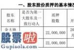 股票上市公司新闻_溢多利(300381)股东金大地投资质押2200万股用于融资