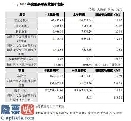 看懂股市新闻:投资者必读_山石网科(688030)2019年度盈利9119万增长32%软件产品增值税退税有所增加