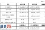 股票上市公司资讯_超图软件(300036)2019年净利2.16亿增长29%订单增速回升