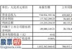 上市公司资讯网_中欣氟材(002915)2019年净利亏损4909万元较上年同期由盈转亏