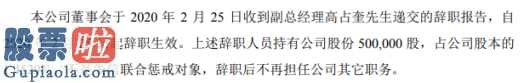 股市新闻_艾尼科技副总经理高占奎辞职持有公司1.45%股份