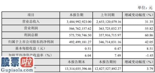 今日股市资讯：蓝帆医疗(002382)2019年净利4.92亿同比增长42.05%