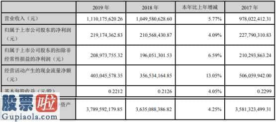 好股114_海峡股份(002320)2019年净利2.19亿元航线业务量稳步增长