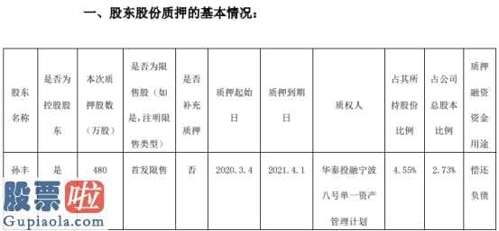 今日大盘点数：赛腾股份(603283)股东孙丰质押480万股用于偿还负债