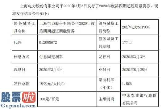 黑嘴：上海电力(600021)短期融资券发行总额为19亿元