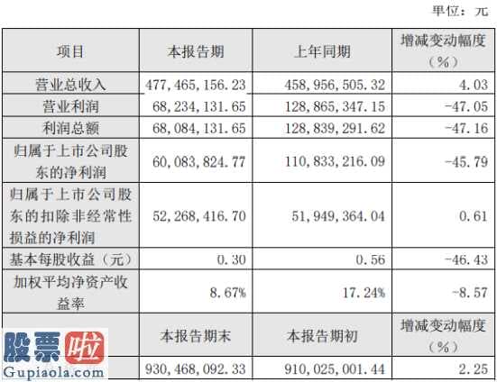 互联网金融财经门户网：德宏股份(603701)2019年盈利6008万元下滑46%新能源补贴退坡