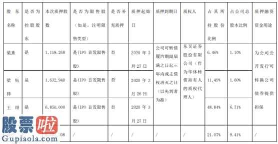 今日股市要闻解读 四川华体照明灯具科技发展有限责任公司质押贷款股权960