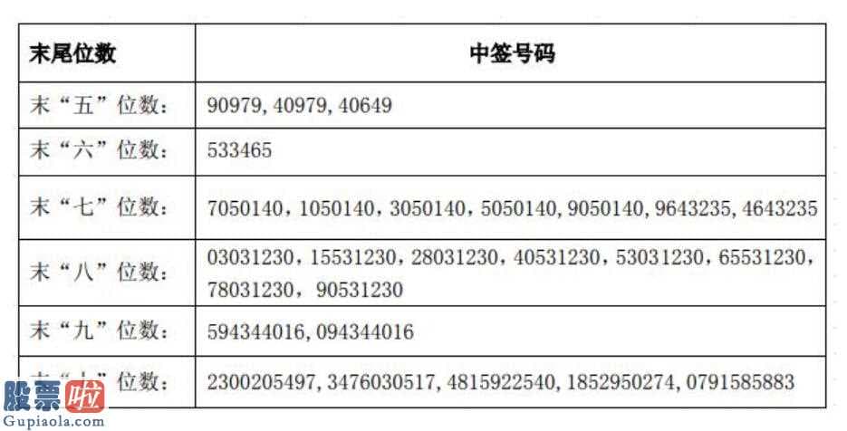 上市公司快报：华统股份(002840)可转换债券在网上中签结果