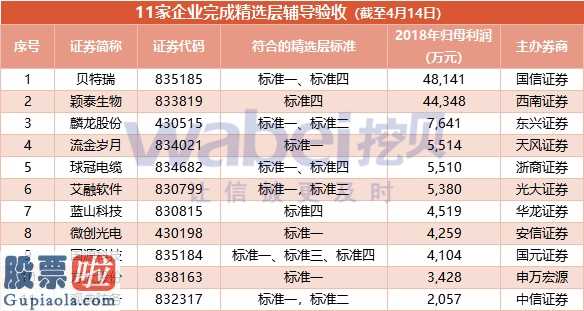 看懂股市新闻第二版 小IPO中沦落女配角小证券公司:干力气活的命