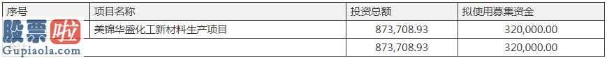 股市新闻头条新闻_32亿可转换债券变66亿定增化工新材料新项目资金投入俱增