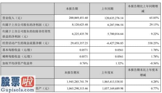 股票公司要闻-中欣氟材(002915)今年第一季度汇报