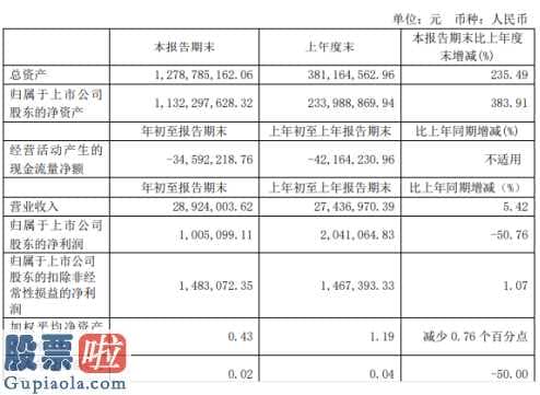 看懂股市新闻在线阅读 开普云(688228)今年第一季度财报数据