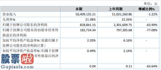 股票公司资讯_华强电子今年汇报显示信息