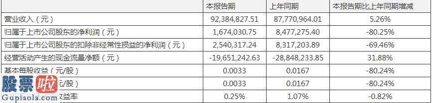 上市公司快报 嘉应制药(002198)完成主营业务收入9238