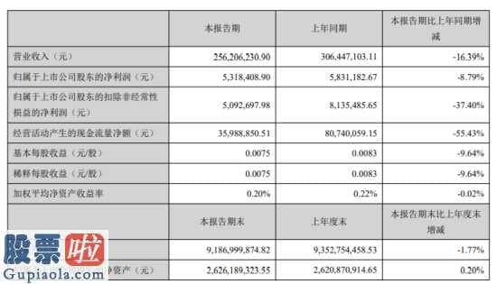 中国上市公司资讯网-银星能源(000862)今年第一季度汇报