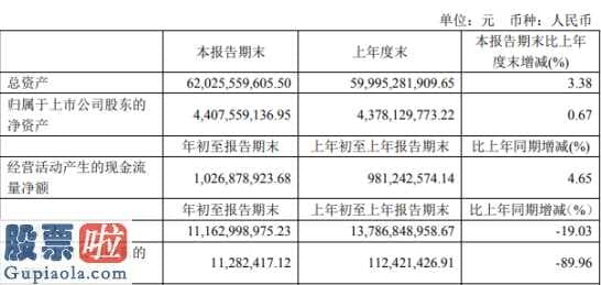 股票公司快报-云天化(600096)今年第一季度汇报