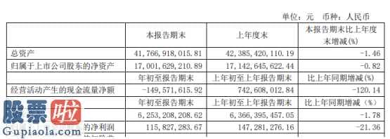 股票公司要闻 广州发展(600098)今年第一季度汇报