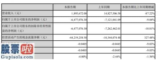 上市公司资讯网_圣莱达(002473)今年第一季度汇报