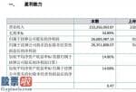 好想你上市公司新闻-车讯互连今年主营业务收入233,356,093