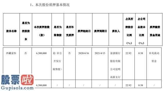 中国上市公司资讯：闻泰科技(600745)股权公司质押贷款股权650亿港元