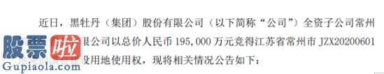 上市公司新闻与公告-黑牡丹(600510)购置产业公司以原价RMB195,000