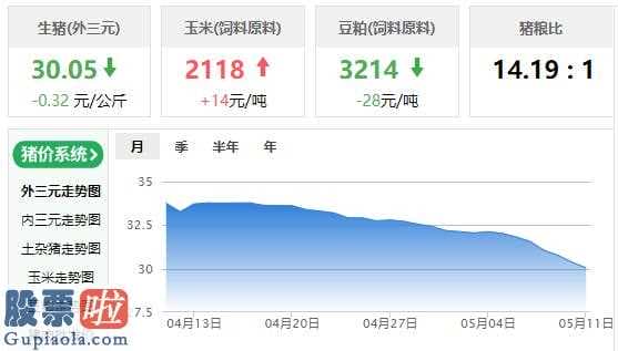 今日股市新闻头条_一年有多少头活猪出栏率?猪销售市场有多大?