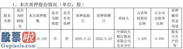 今日股市资讯：东方集团(600811)质押贷款股权1685