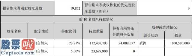 今日股市新闻头条新闻-先锋新材(300163)大股东、控股股东的一致行动人明知故犯