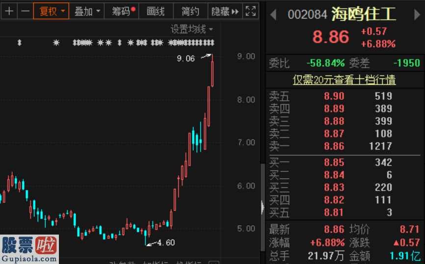 股票公司要闻-海鸥住工(002084)股票价格疯涨?董事会秘书被组织