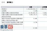 今日股市快报_同一年财务报表“打架斗殴”中天集团:让投资人不必依靠新三板数