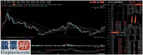 上市公司新闻在哪里看_证券基金一季度报表重中之重加仓股