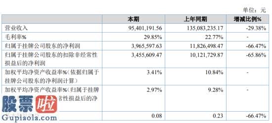 上市公司新闻网：丽明股份2019年净利396.56万下滑66.47%集成类业务量比上年同期缩减