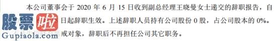 上市公司新闻发言人_云华通副总经理王晓曼辞职