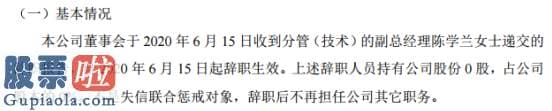 股票上市公司新闻_惠锋新科分管技术的副总经理陈学兰辞职