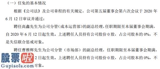 上市公司快报_京鹏科技聘任高鑫为公司分管成本运营部的副总经理